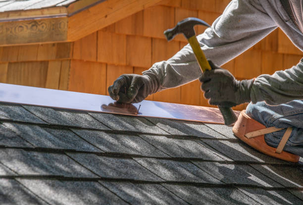 Best Hot Roofs  in Freeman, SD
